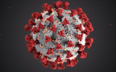 Auswirkungen von Corona (SARS-CoV-2) auf die qualitative Forschung